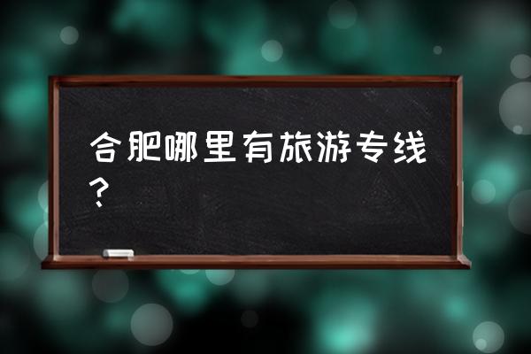 合肥公交线路景点多 合肥哪里有旅游专线？