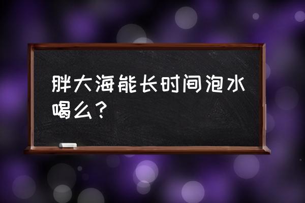 胖大海能喝一个月吗 胖大海能长时间泡水喝么？