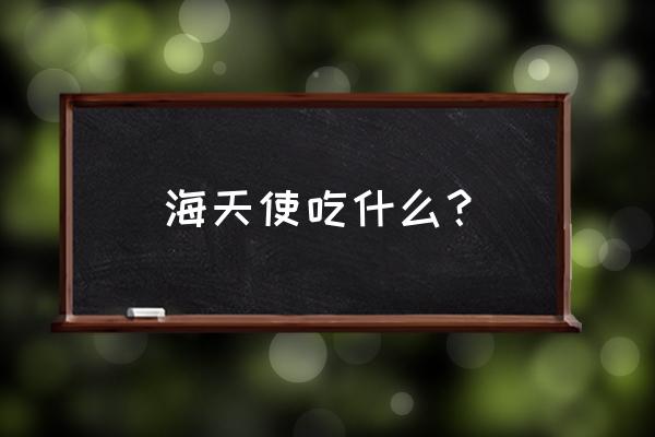 海天使吃什么 海天使吃什么？