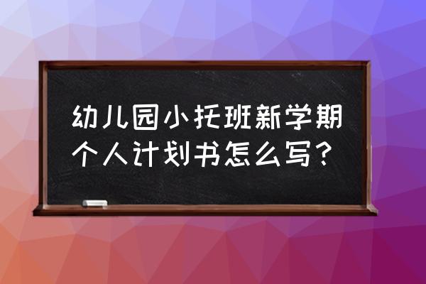 幼儿园工作计划书 幼儿园小托班新学期个人计划书怎么写？