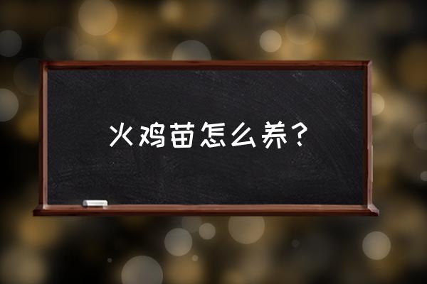 火鸡苗养殖 火鸡苗怎么养？