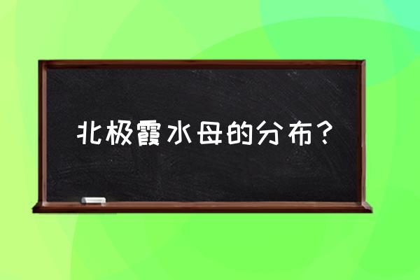 北极霞水母吃鲨鱼 北极霞水母的分布？