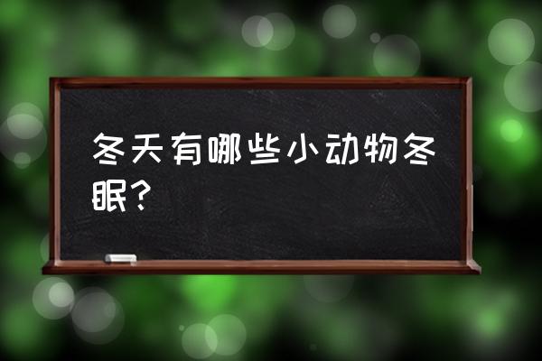 冬天都有哪些动物冬眠 冬天有哪些小动物冬眠？