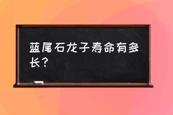 蓝尾石龙子长大的样子 蓝尾石龙子寿命有多长？