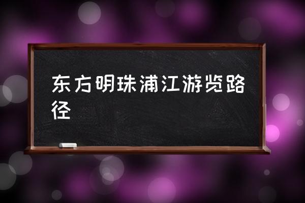 上海浦江游览 东方明珠浦江游览路径