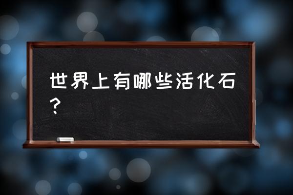 生活中有哪些活化石 世界上有哪些活化石？