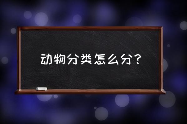 动物分类怎么分 动物分类怎么分？