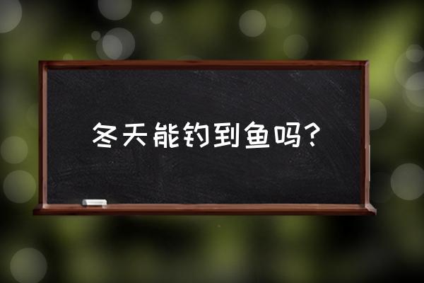 冬天钓鱼好钓吗 冬天能钓到鱼吗？