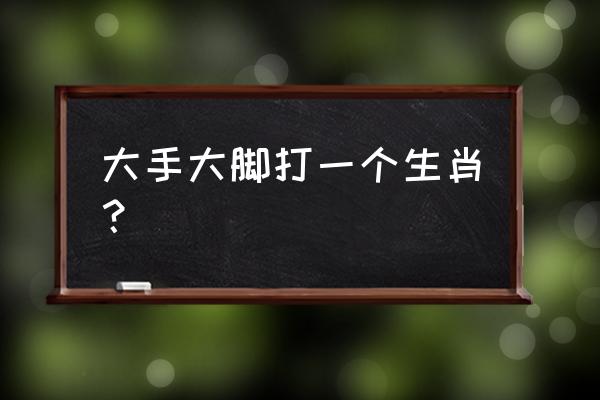 大手大脚是什么生肖 大手大脚打一个生肖？