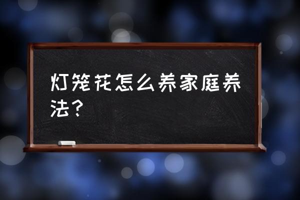 灯笼花怎么养家庭养法 灯笼花怎么养家庭养法？