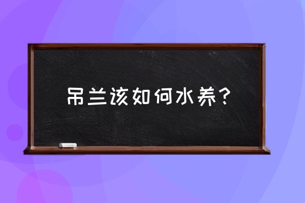 自制水培吊兰固定 吊兰该如何水养？