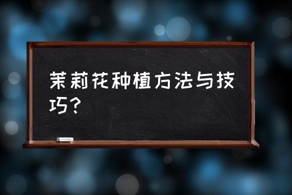 茉莉花养殖方法与技巧 茉莉花种植方法与技巧？