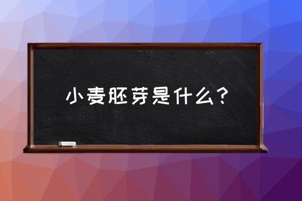 小麦胚芽的营养成分含量表 小麦胚芽是什么？