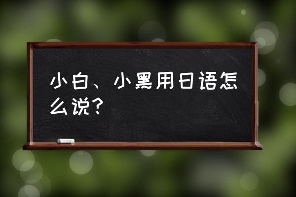 理想的小白脸生活日文名 小白、小黑用日语怎么说？