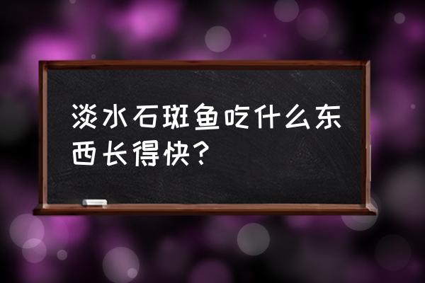 淡水石斑鱼吃什么食物 淡水石斑鱼吃什么东西长得快？