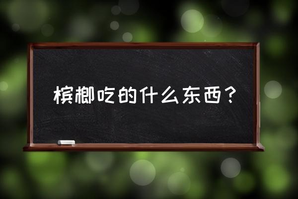 冰狼是什么吃的 槟榔吃的什么东西？