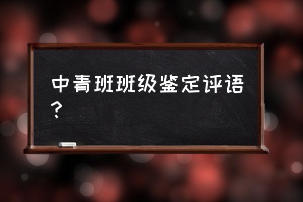 班级鉴定表班级评语 中青班班级鉴定评语？