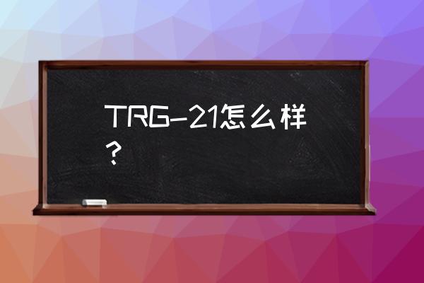 芬兰之星列车 TRG-21怎么样？