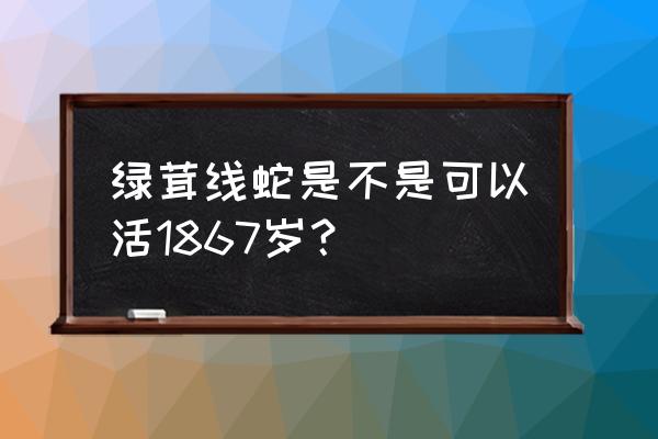 绿茸线蛇真的存在吗 绿茸线蛇是不是可以活1867岁？