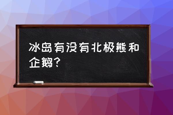 冰岛有北极熊吗 冰岛有没有北极熊和企鹅？