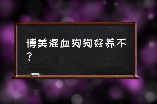 博美犬在河南好养吗 博美混血狗狗好养不？