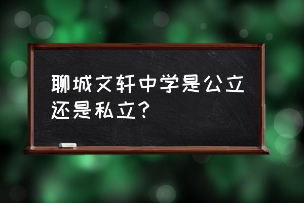 聊城文轩中学成绩查询 聊城文轩中学是公立还是私立？