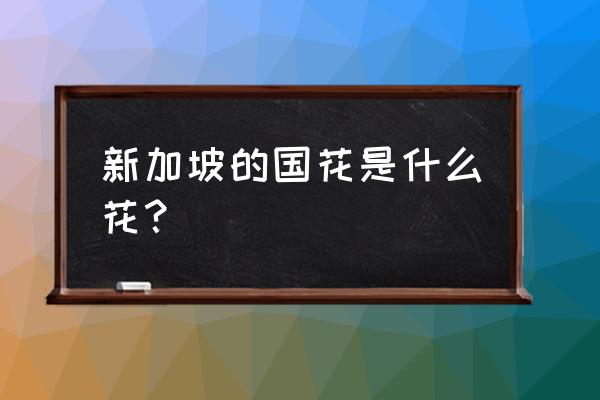 新加坡国花是什么花 新加坡的国花是什么花？