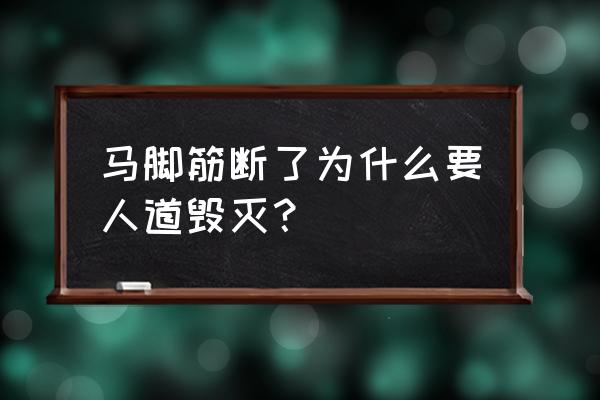 什么叫做人道毁灭 马脚筋断了为什么要人道毁灭？