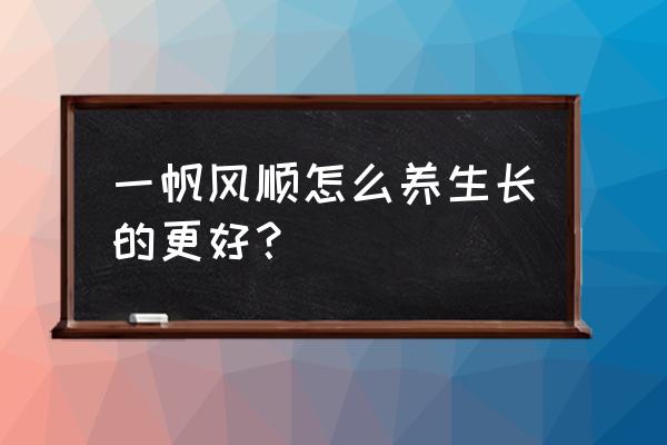 一帆风顺怎么养才茂盛 一帆风顺怎么养生长的更好？