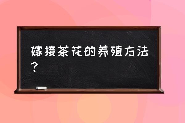 嫁接茶花的养殖方法 嫁接茶花的养殖方法？