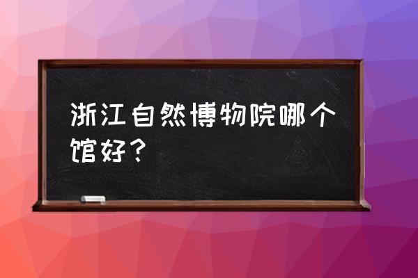 杭州工艺美术博物馆地址 浙江自然博物院哪个馆好？