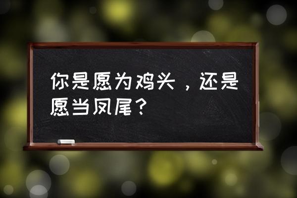 歪打正着by愚礼完整版 你是愿为鸡头，还是愿当凤尾？