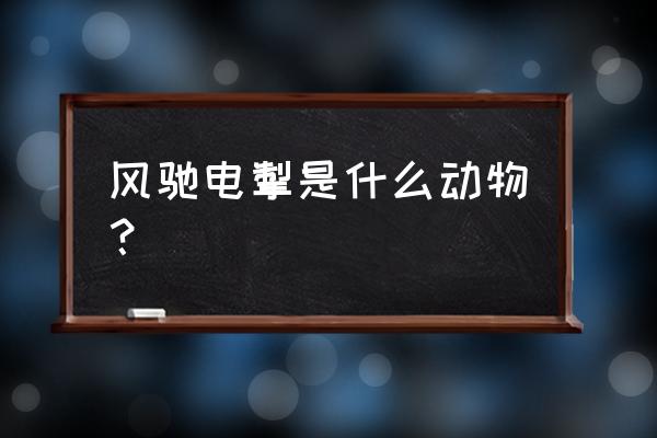 风驰电掣的意思是什么动物 风驰电掣是什么动物？