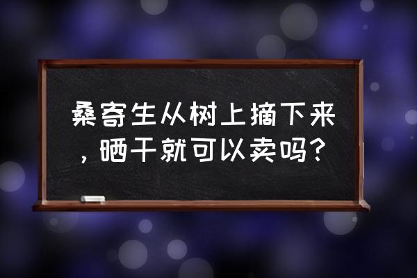 桑寄生晒干后可吃吗 桑寄生从树上摘下来，晒干就可以卖吗？