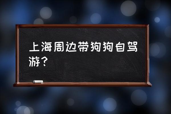 上海月湖雕塑公园游记 上海周边带狗狗自驾游？