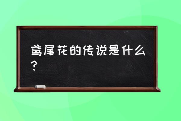 鸢尾花的传说 鸢尾花的传说是什么？