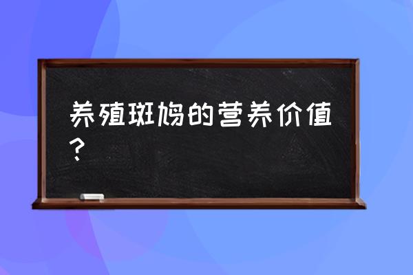 斑鸠营养价值及功效 养殖斑鸠的营养价值？