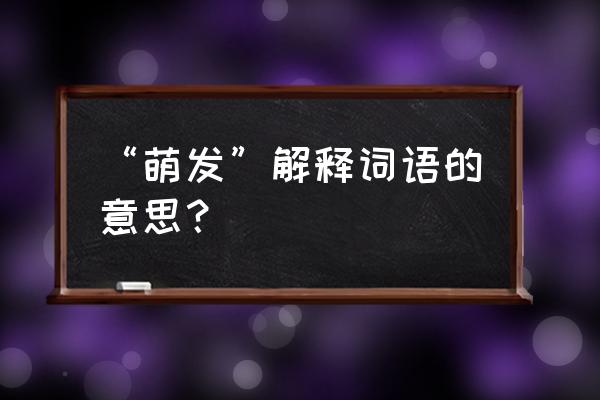 萌发的释义 “萌发”解释词语的意思？