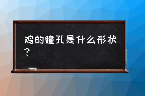 鸡的瞳孔形状 鸡的瞳孔是什么形状？