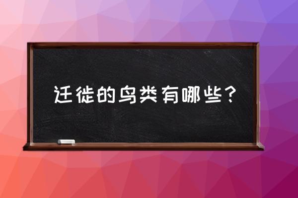 鸟类迁徙的种类 迁徙的鸟类有哪些？