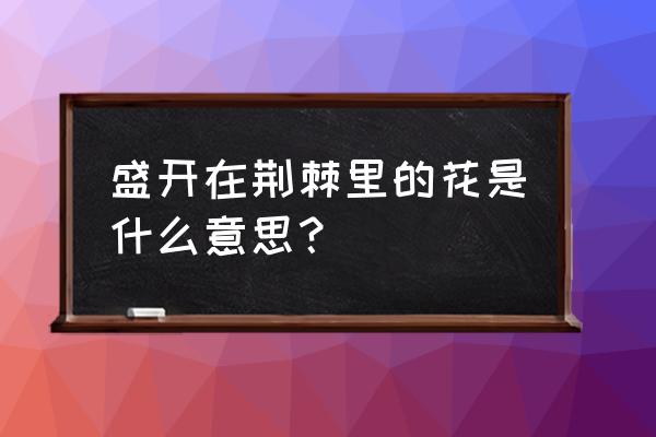 荆棘里的花啥意思 盛开在荆棘里的花是什么意思？