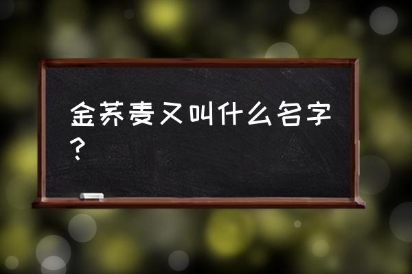 金荞麦的功效与作用及禁忌 金荞麦又叫什么名字？