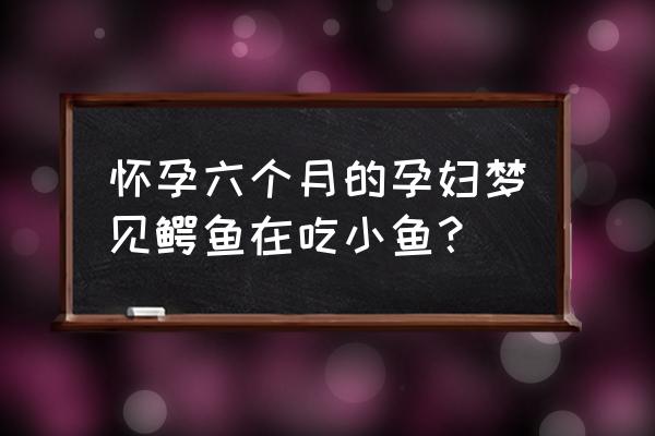 孕妇梦见小鳄鱼是什么预兆 怀孕六个月的孕妇梦见鳄鱼在吃小鱼？