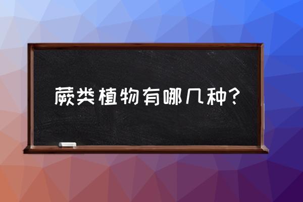 蕨类植物有哪些 蕨类植物有哪几种？