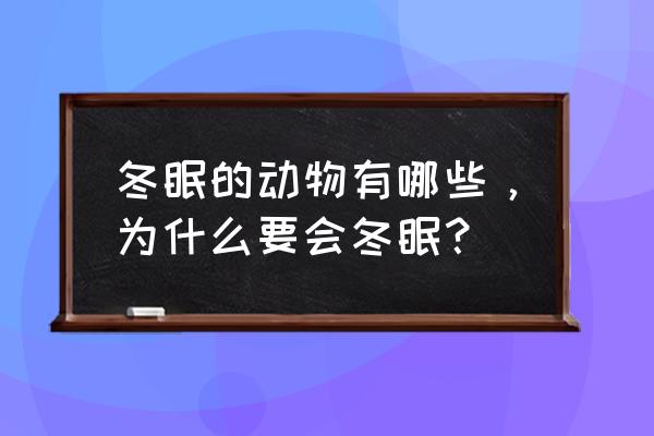 请问冬眠的动物有哪些 冬眠的动物有哪些，为什么要会冬眠？