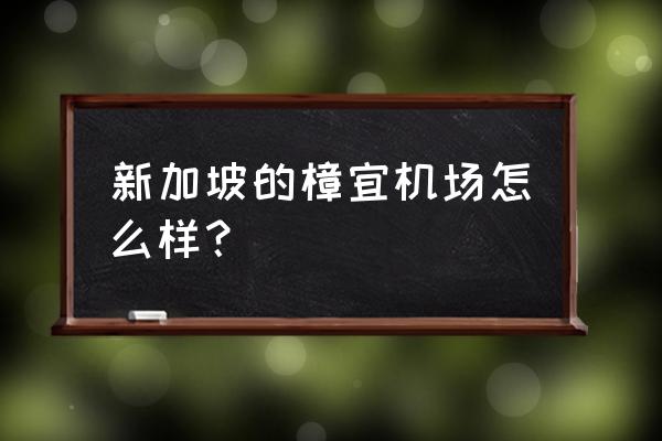 樟宜机场瀑布 新加坡的樟宜机场怎么样？