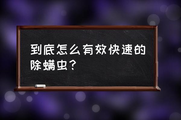 怎样去除螨虫最快方法 到底怎么有效快速的除螨虫？