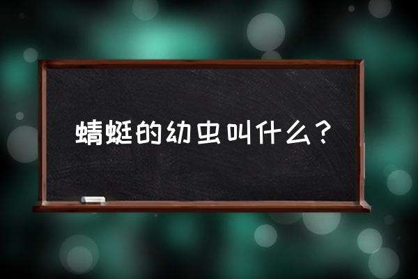 蜻蜓幼虫叫啥 蜻蜓的幼虫叫什么？