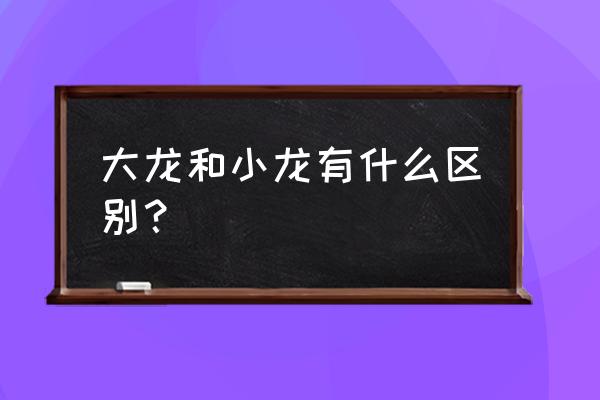 大龙和小龙区别 大龙和小龙有什么区别？