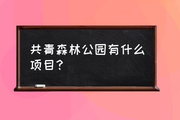 共青森林公园极速风车 共青森林公园有什么项目？